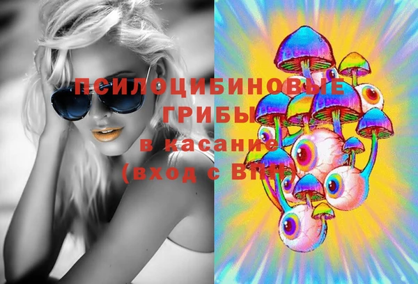 a pvp Зеленокумск
