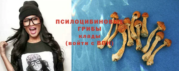 прущая мука Зеленодольск